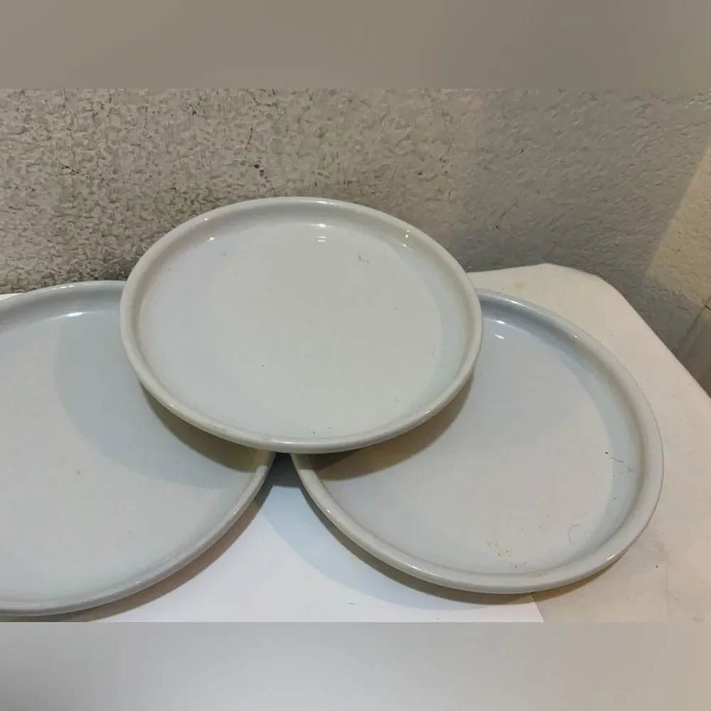Crate & Barrel Culinary Arts Set of 3 White Porcelain Deep Rim Dinner Plates